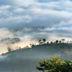 Kabut Tebal Memahami Perasaan